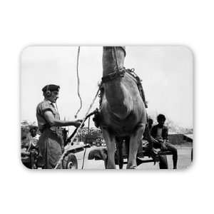  British army overseas in Yemen April 1966   Mouse Mat 