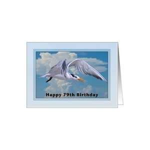  Happy Birthday, 79th, Royal Tern Bird Card Toys & Games