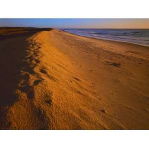 Dune at sunrise, Assateague Island National Seashore, Virginia, USA 