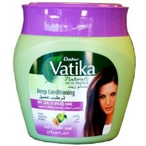   Deep Conditioning Hot Oil Treatment 500g: Health & Personal Care