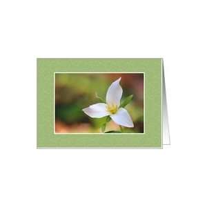 Trillium Flower   Blank Card