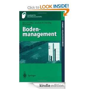 Bodenmanagement (Geowissenschaften und Umwelt) (German Edition) M 