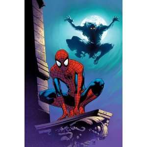 Ultimate Spider Man #112 Cover Spider Man and Green Goblin by Stuart 