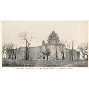  1893 Print New York City Insane Asylum Blackwell Island 