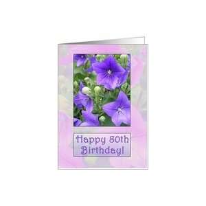  Happy 80th Birthday, Purple Floral Card: Toys & Games