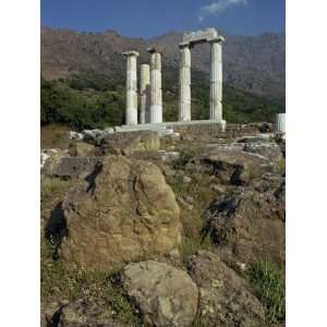 Remaining Doric Columns, Samothrace, Ionian Islands 