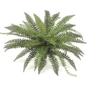    Large Artificial Fishtail Fern Plant   43 Diameter