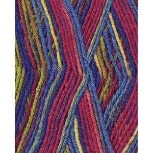   Heart & Sole with Aloe Yarn 3960 Spring Stripe Arts, Crafts & Sewing