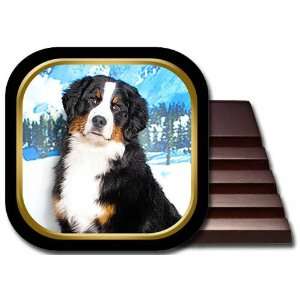 Bernese Mountain Dog Coaster Set:  Kitchen & Dining