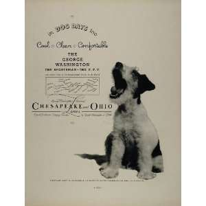   Railway Lines Dog Days Terrier   Original Print Ad: Home & Kitchen