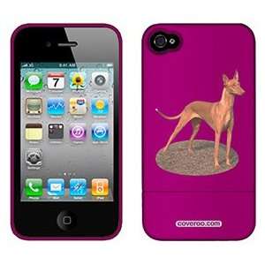  Pharaoh Hound on Verizon iPhone 4 Case by Coveroo  