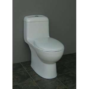  Caroma One Piece Toilet 989668 CT. 29 3/4L x 14 3/4W x 