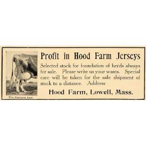 1907 Ad Hood Farm Jersey Cows Lowell Massachusetts   Original Print Ad