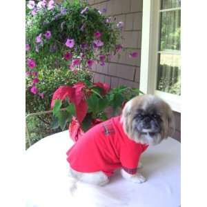 Joybies Nightshirt for XX Small Dog (Measuring 9 11 Along Back from 
