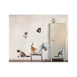  Removable Wall Decor   Cats: Home & Kitchen