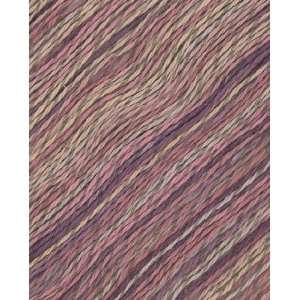  Berroco Linsey Colors Yarn 6503 Oak Bluffs: Arts, Crafts 