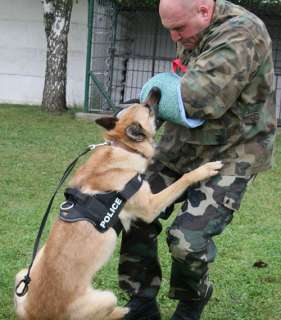POLICE,SCHUTZHUND,SECURITY K9 dog training,GREAT labels  