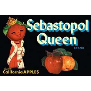  Sebastopol Queen Brand Apples   Poster (18x12)