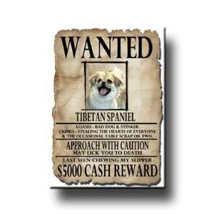 Tibetan Spaniel Wanted Fridge Magnet