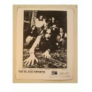  The Black Crowes Press Kit and Photo Shake Moneymaker 