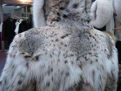 Lynx Hooded Parka Jacket Coat $18,000 White Bellies  