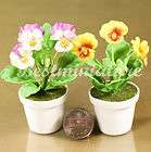 Pansy miniature Clay Flower w Porcelain Pot Plant Garden Wedding 