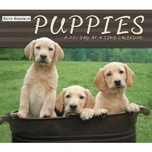    Keith Kimberlin Puppies 2012 Desk Calendar: Office Products