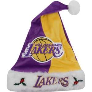 Los Angeles Lakers Colorblock Santa Hat 