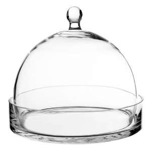  Glass Cloche with Tray, Plant Terrarium. 7.25 H (6 pcs 