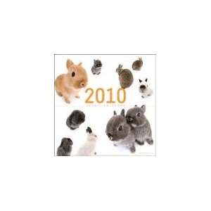  THE RABBIT Artlist 2010 Cute Rabbits Wall Calendar 12 x 12 