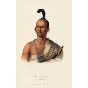    Nosed Fox, a Saukie Brave McKenney Hall Indian Print 13 x 19 Inches