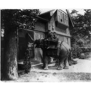 Bronx Zoo?,New York City,man,boy,on elephant,Bureau of Administration 