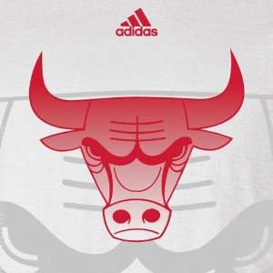 Adidas Chicago Bulls 2011 Nba Draft Hook T Shirt:  Sports 