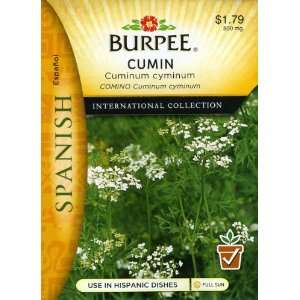  Burpee 69653 Spanish   Herb Cumin Seed Packet: Patio, Lawn 