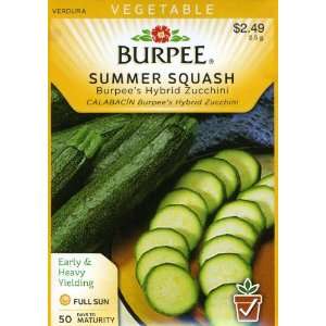 Burpee 57596 Squash, Summer Burpees Hybrid Zucchini Seed 
