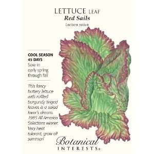  Red Sails Leaf Lettuce Seeds   750 mg: Patio, Lawn 