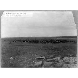   Iliff, Logan County,Colorado,CO,Cattle round up,1913