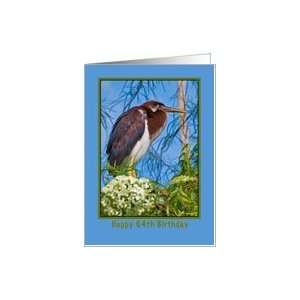   Birthday, 64th, Tricolored Heron in Flowering Tree Card Toys & Games