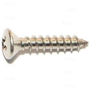  10 x 1 Phillips Oval Sheet Metal Screw (15 pieces): Home 