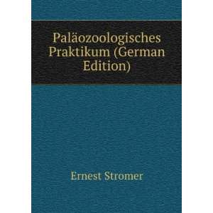   Praktikum (German Edition) (9785878164573): Ernest Stromer: Books