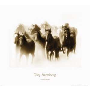  Tony Stromberg Windstorm 30x27 Poster Print: Home 