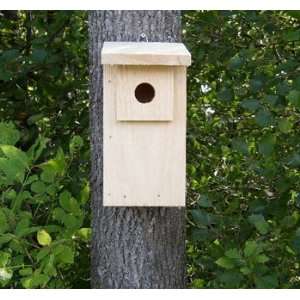  Economy Eastern Bluebird Trail Box