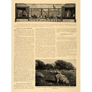  1907 Article Fred Haxton Livestock Poultry Sando Cattle 
