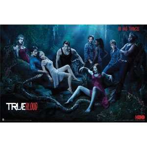  True Blood   Posters   Movie   Tv: Home & Kitchen