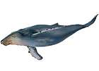 SCHLEICH Replica Sea Life WHALE SHARK 16089 BRAND NEW