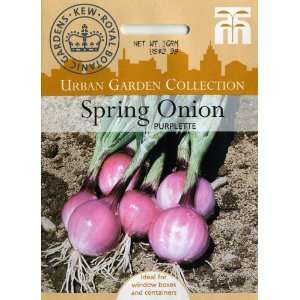   Urban Garden Spring Onion Purplette Seed Packet Patio, Lawn & Garden