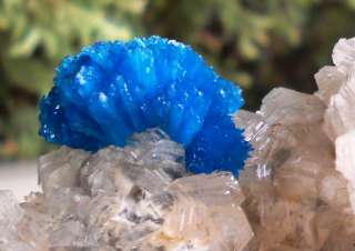 INCREDIBLE BLUE CAVANSITE CRYSTAL CLUSTER   FROM POONA, INDIA  