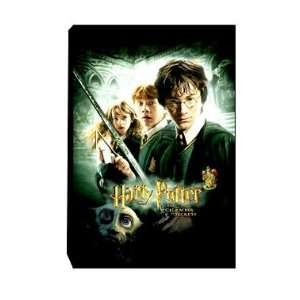  Harry Potter > Chamber Of Secrets Canvas Art: Toys & Games