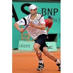  Andy Roddick Poster Tennis #01 24x36in