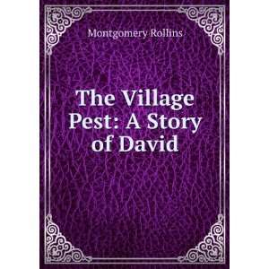    The Village Pest A Story of David Montgomery Rollins Books